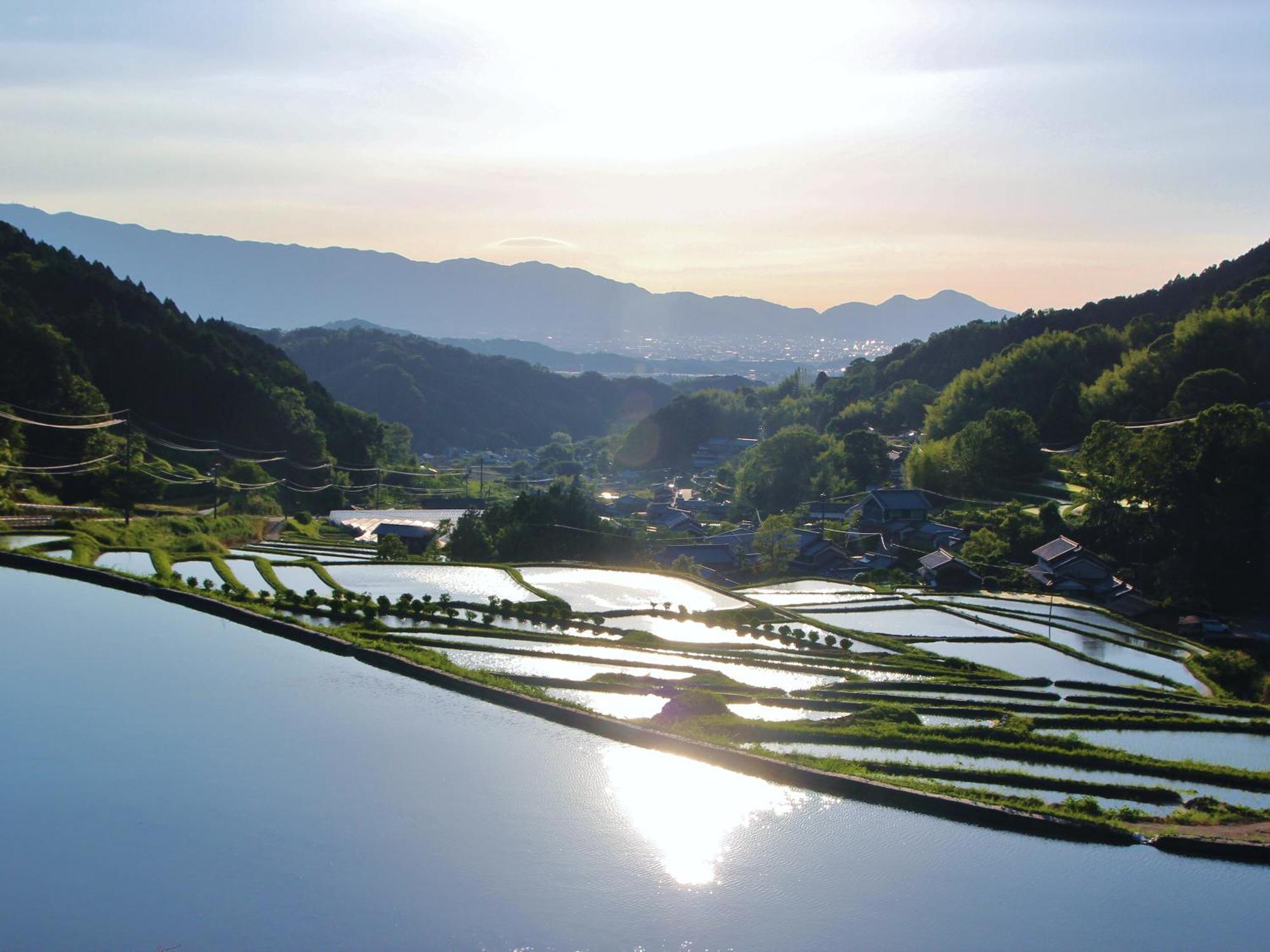 Grand Mercure Nara Kashihara Kashihara  Eksteriør billede