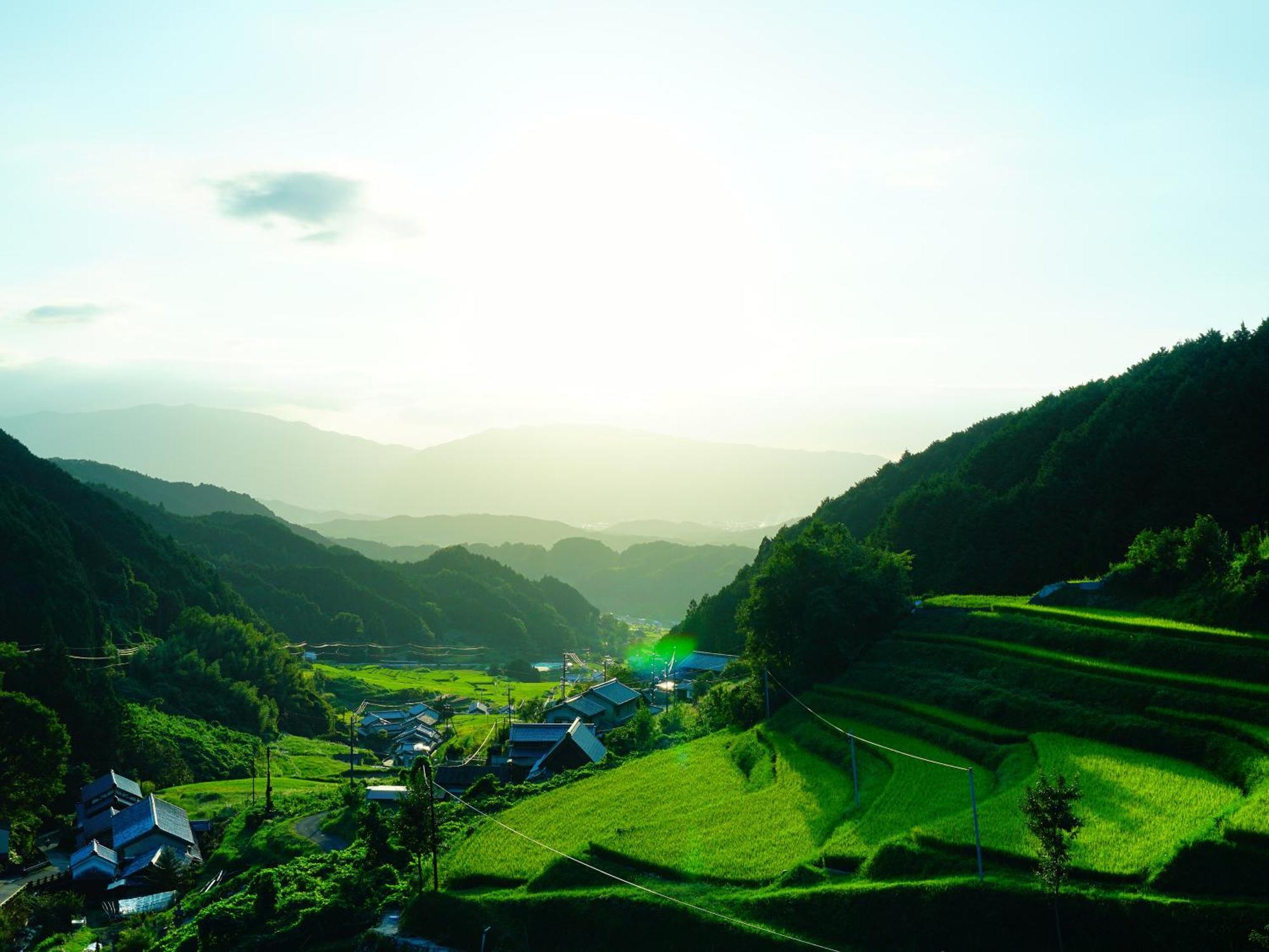 Grand Mercure Nara Kashihara Kashihara  Eksteriør billede