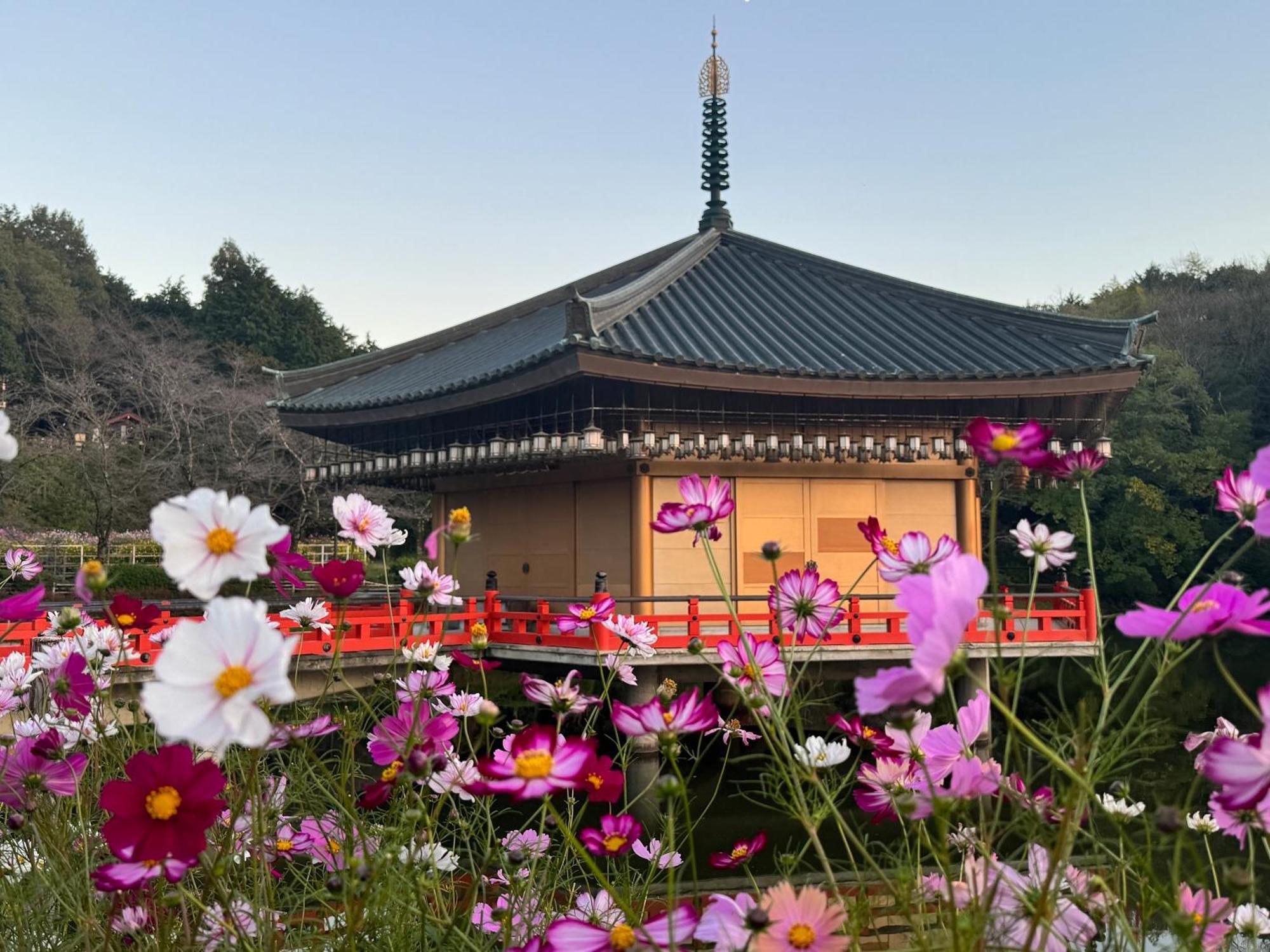 Grand Mercure Nara Kashihara Kashihara  Eksteriør billede