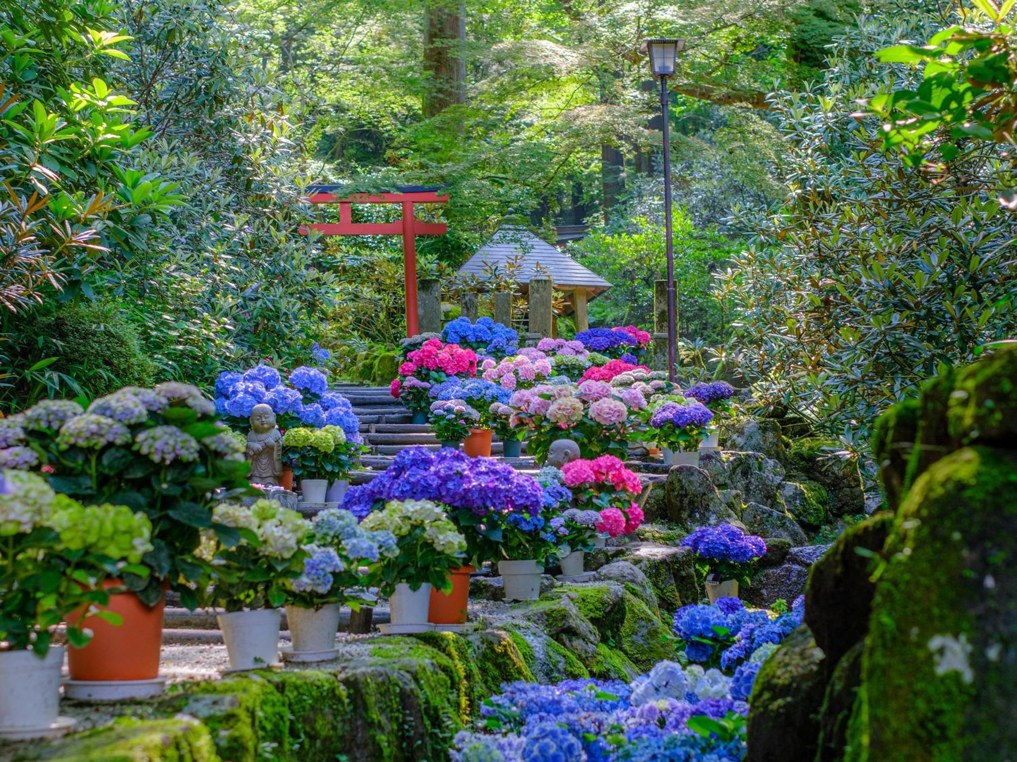 Grand Mercure Nara Kashihara Kashihara  Eksteriør billede